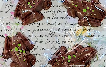 Caramel filled milk chocolate frogs