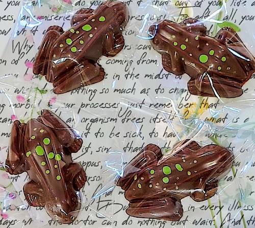 Caramel filled milk chocolate frogs